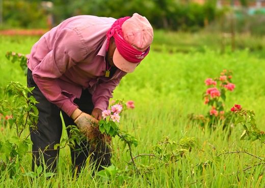 People Behind the Pots