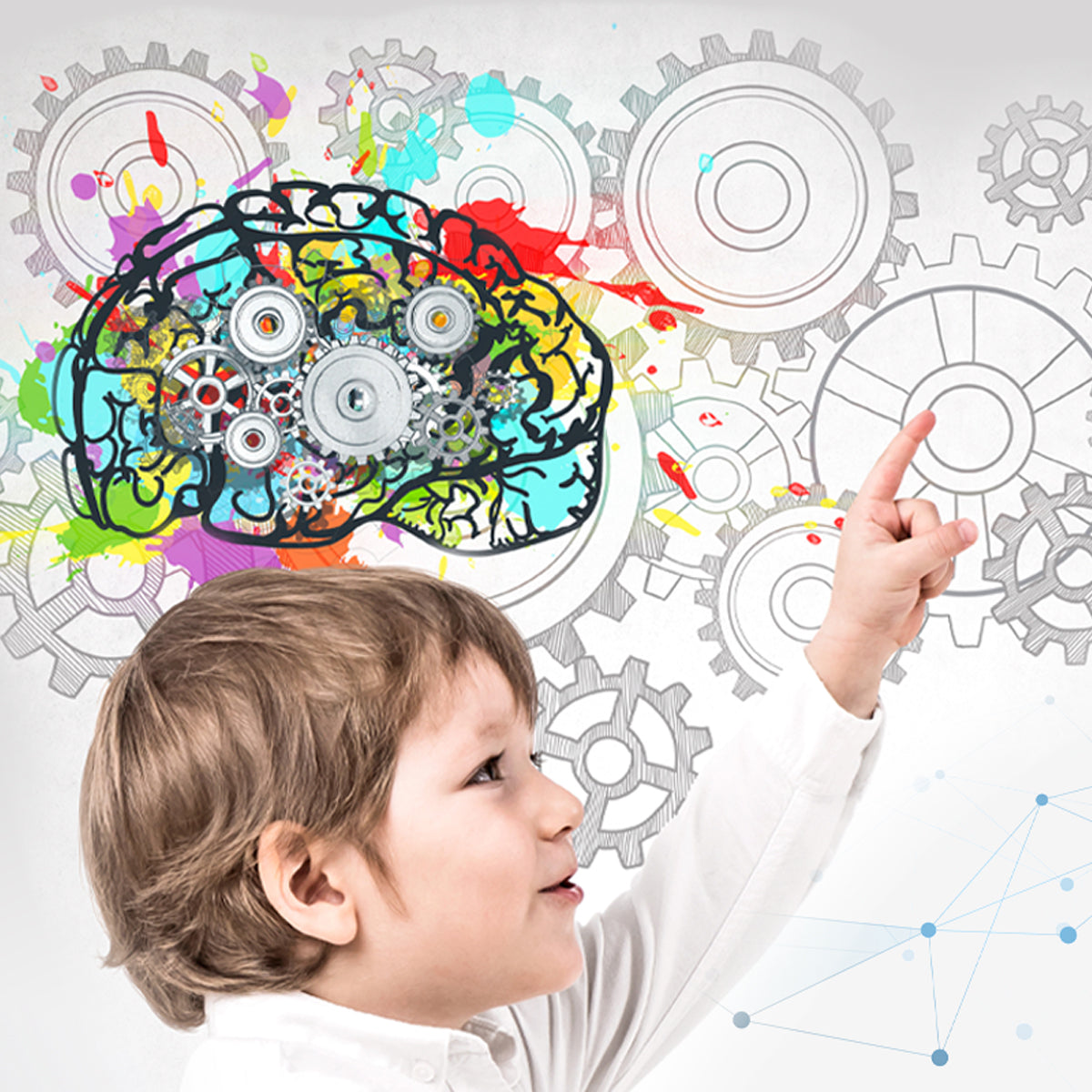 Brain Development - Workshop