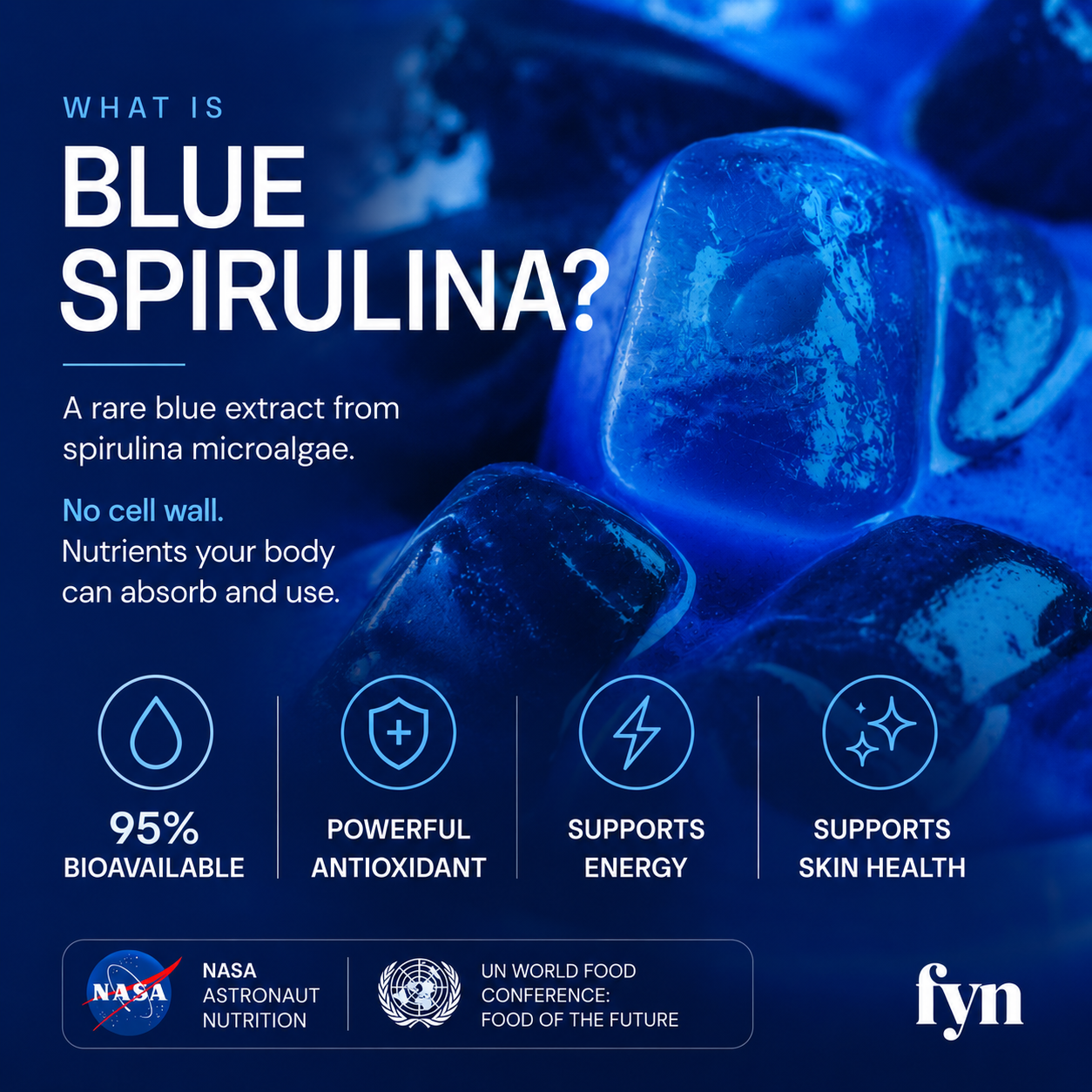Hydra - Daily Cellular Hydration Mix