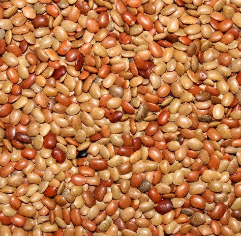 Organics Mantra - Horse Gram (Ulavalu) - 1 Kg