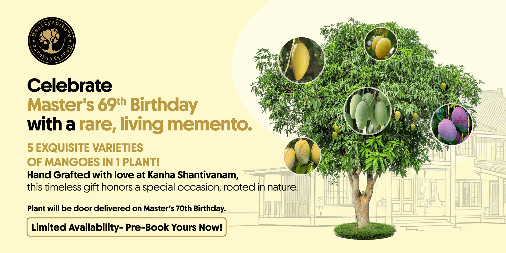 5 Exquisite varieties of mango in 1 plant