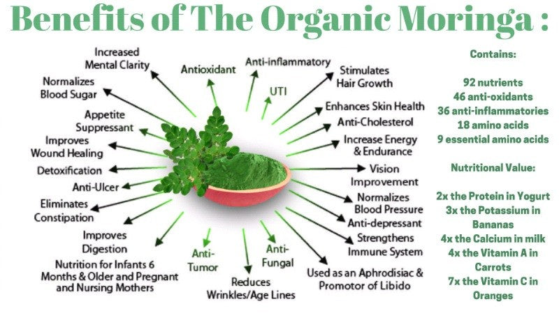 Chemmala Moringa Leaf Capsules 500mg | 60 Veg Capsules | 100% Pure Herbal Supplement