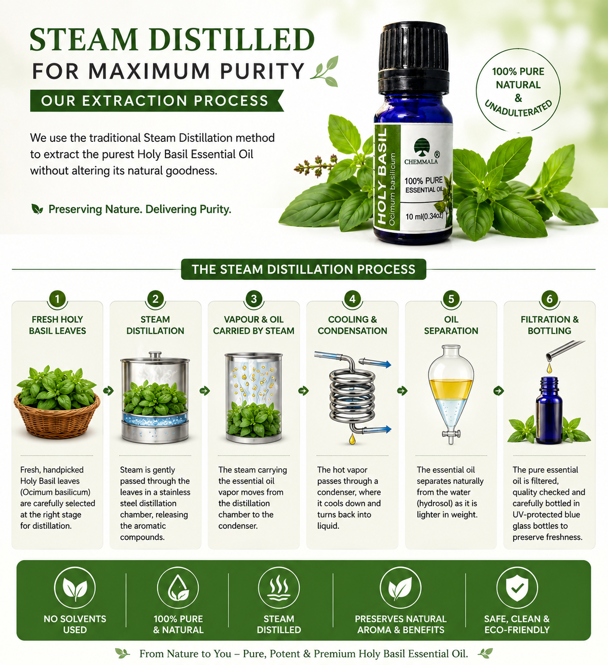 Chemmala Holy Basil Essential Oil | 100% Pure Steam Distilled Consume Quality | Ocimum basilicum | 10 ml