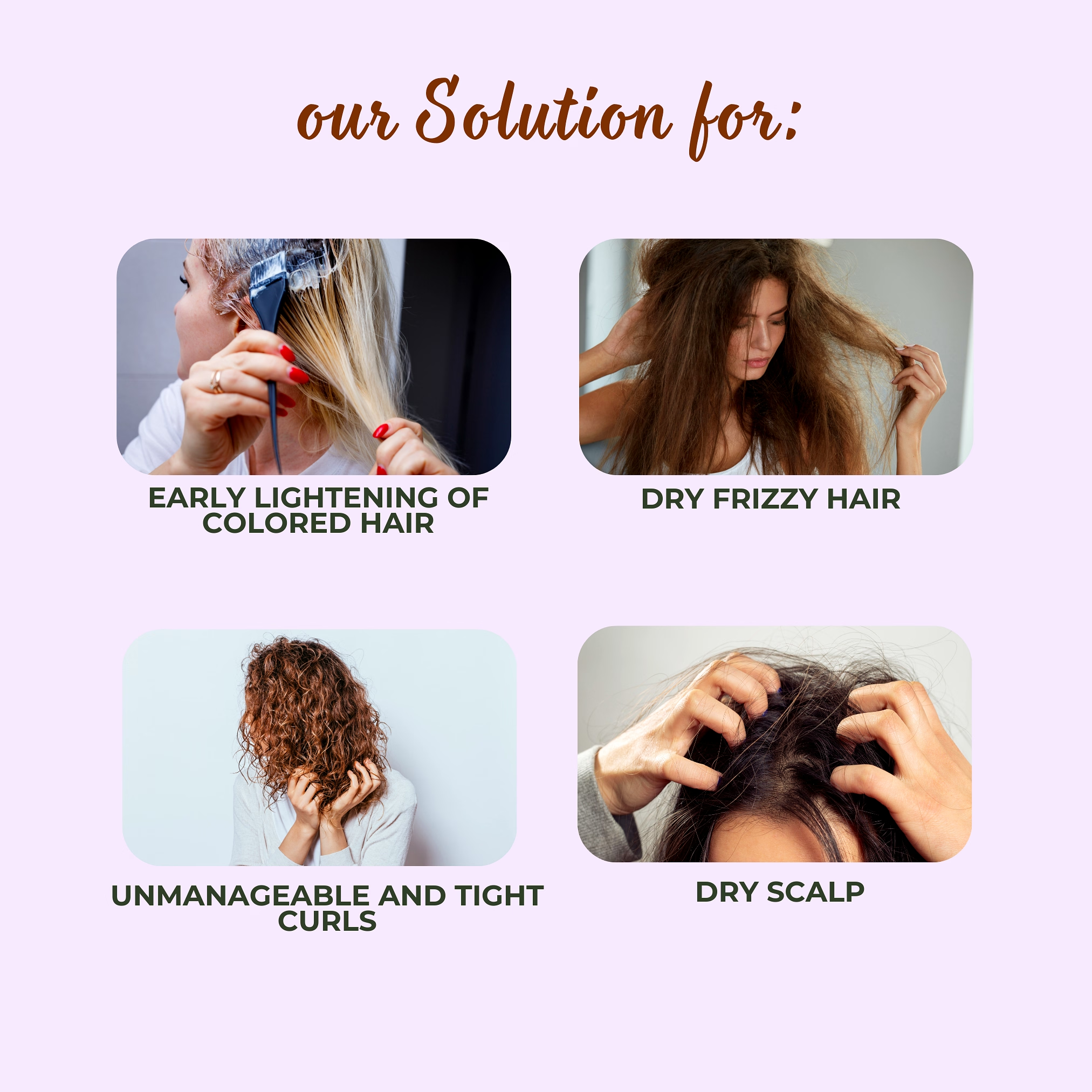 MrilQ Violet Breeze | Conditioning Shampoo | Dry, Curly, Chemically Treated Hair | Sulphate, Paraben & SLS Free