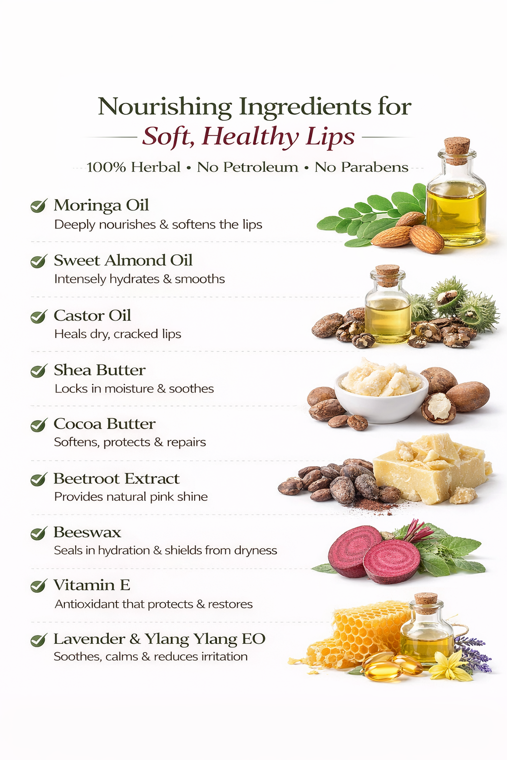 Ingredients infographic of Moringa Lip Balm showing moringa oil, almond oil, castor oil, shea butter, cocoa butter, beeswax, vitamin E and essential oils for soft and nourished lips