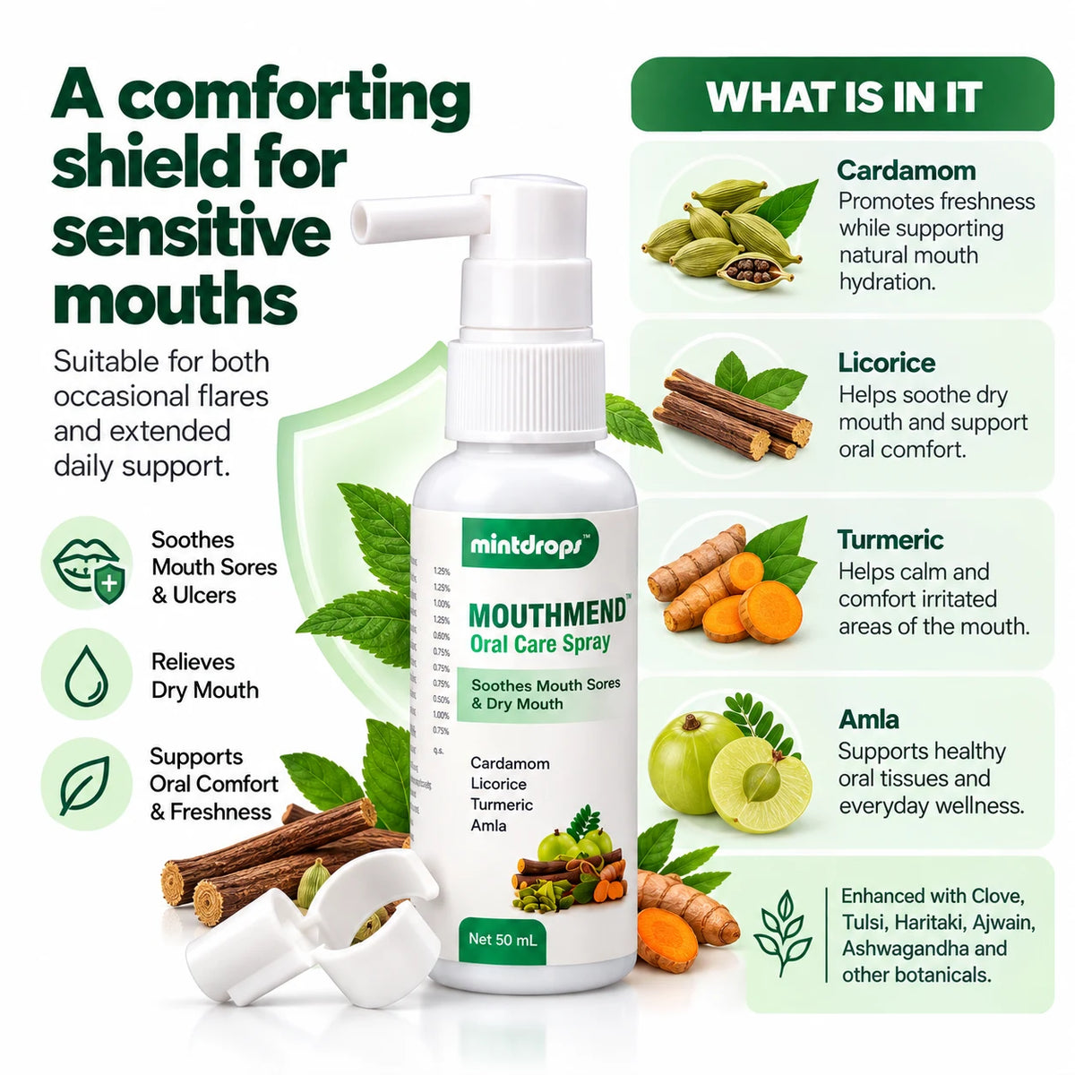 Mouthmend Oral Care Spray (50 ml)