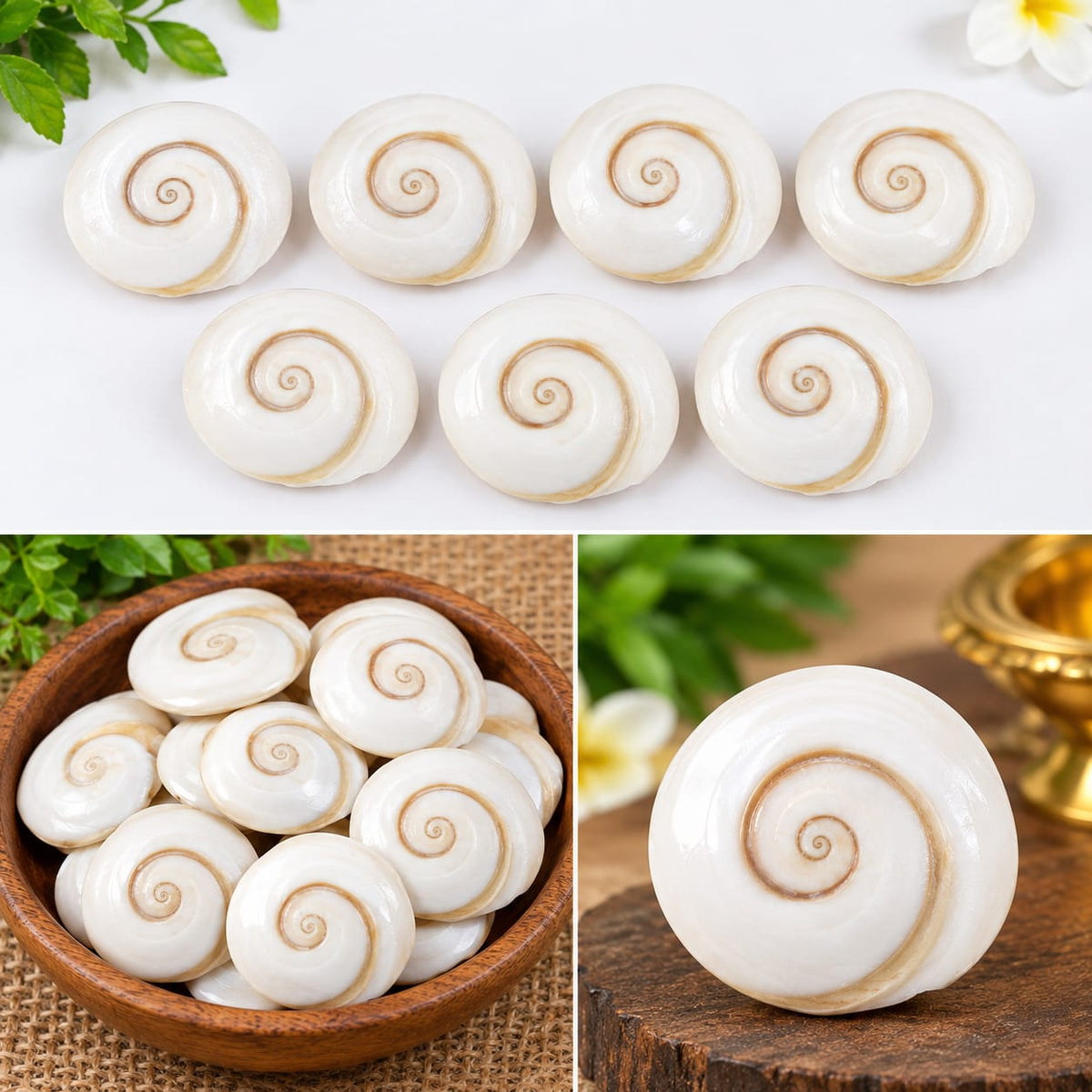 SwarajKart Spiritual Gomati Chakra ( 21 Piece )