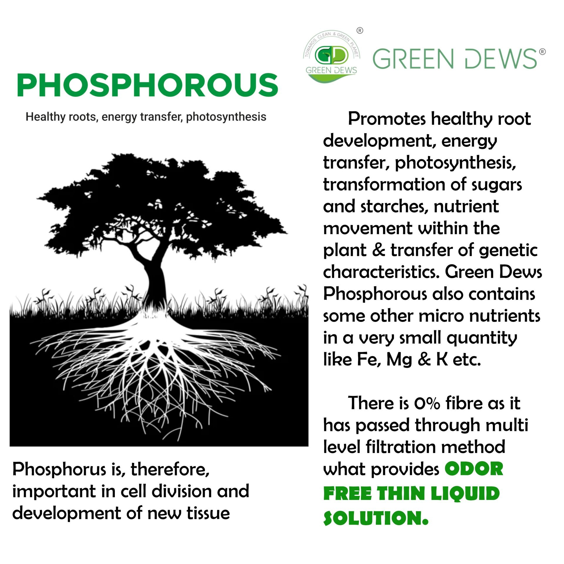 Green Dews Phosphorus Fertilizer For Plants Liquid Organic Faster Than Rock Phosphate Or Any Other Normal Phosphorous Rich Manure - hfnl!fe