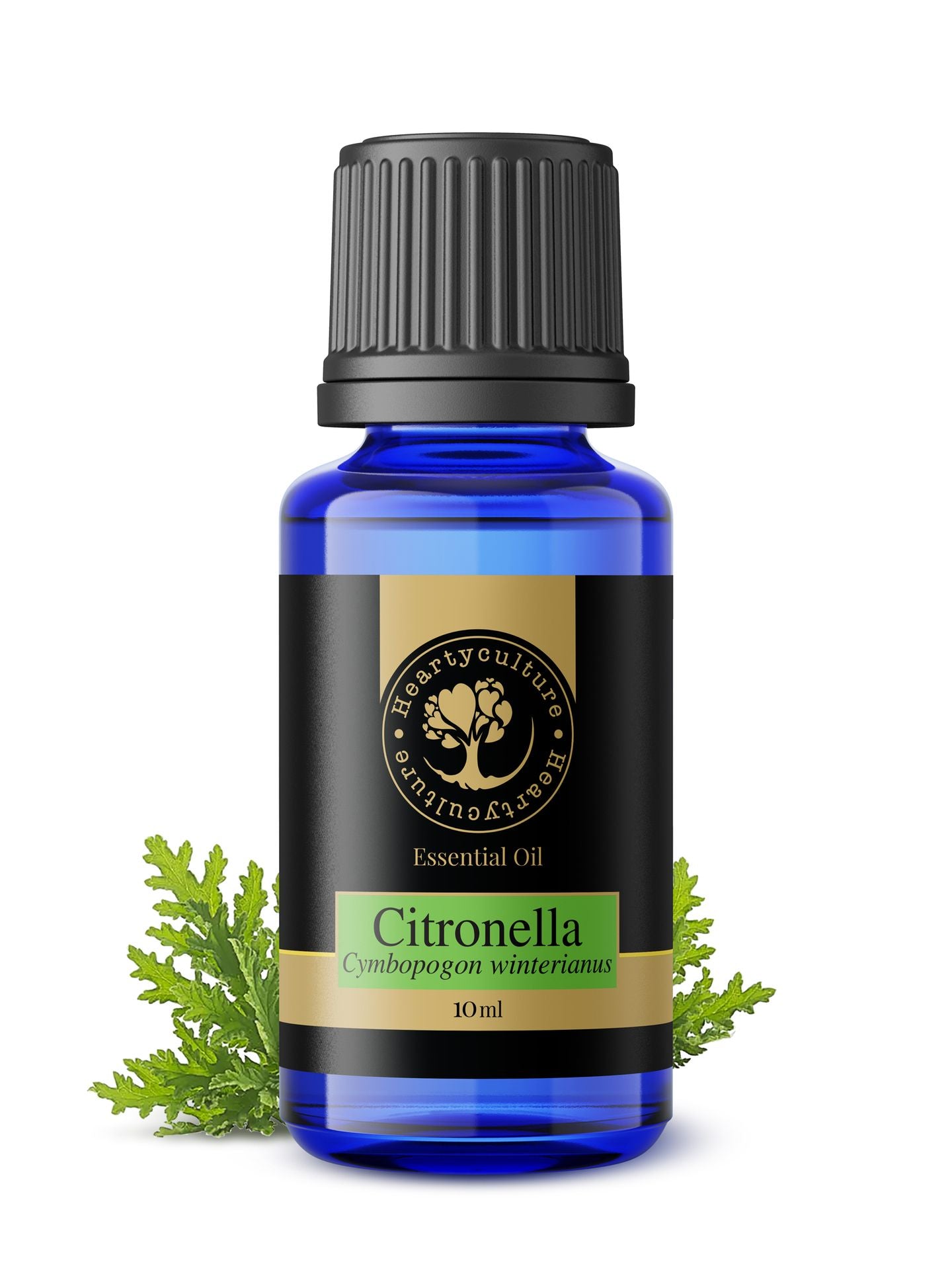 Heartyculture Citronella Essential Oil - 10 ml - hfnl!fe