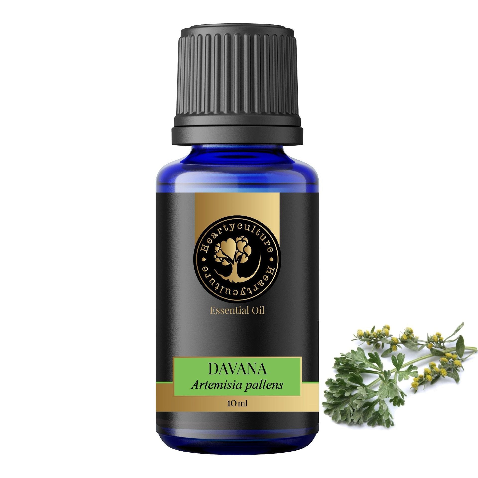 Heartyculture Davana Essential Oil - 10 ml - hfnl!fe