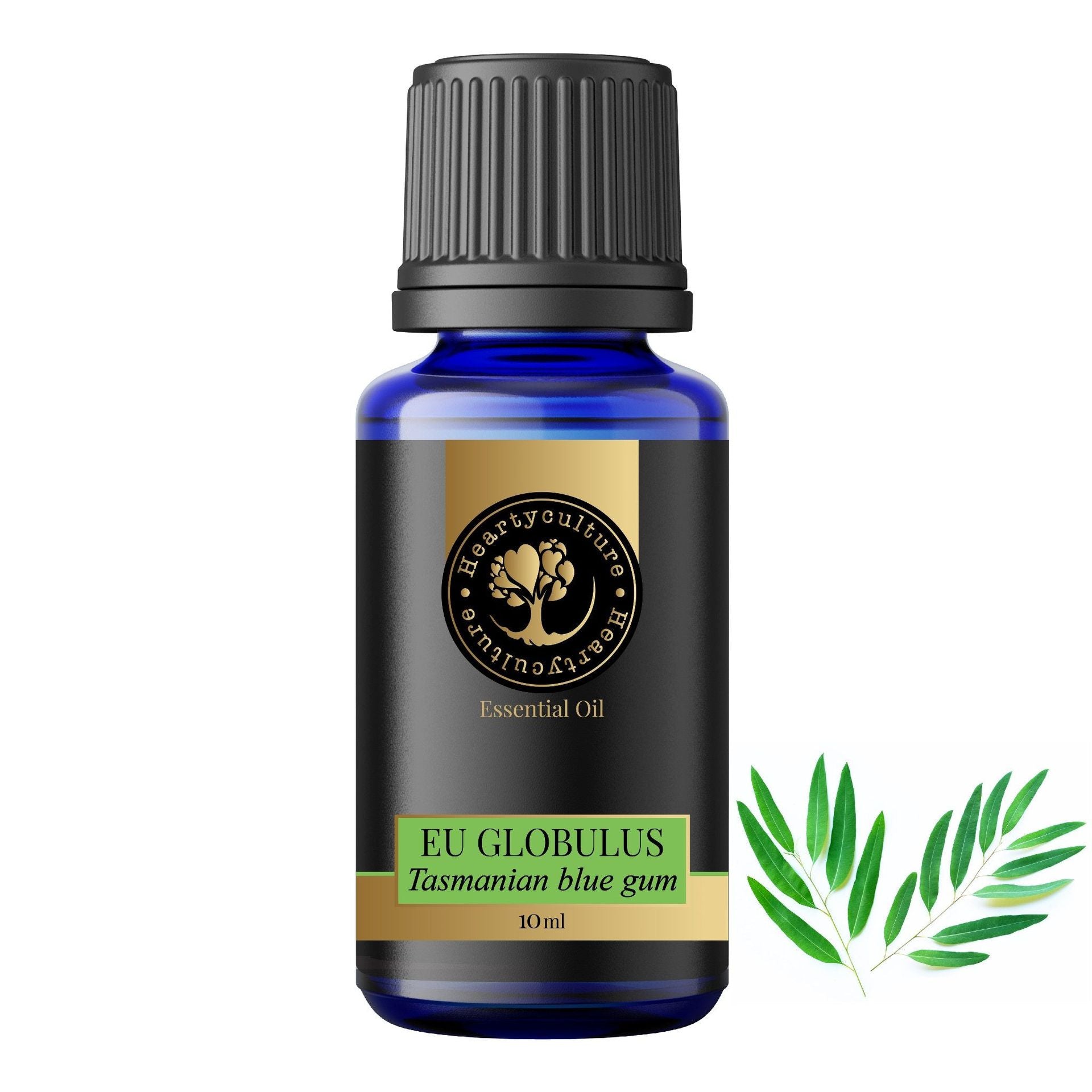 Heartyculture Eucalyptus Globulus Essential Oil - 10 ml - hfnl!fe