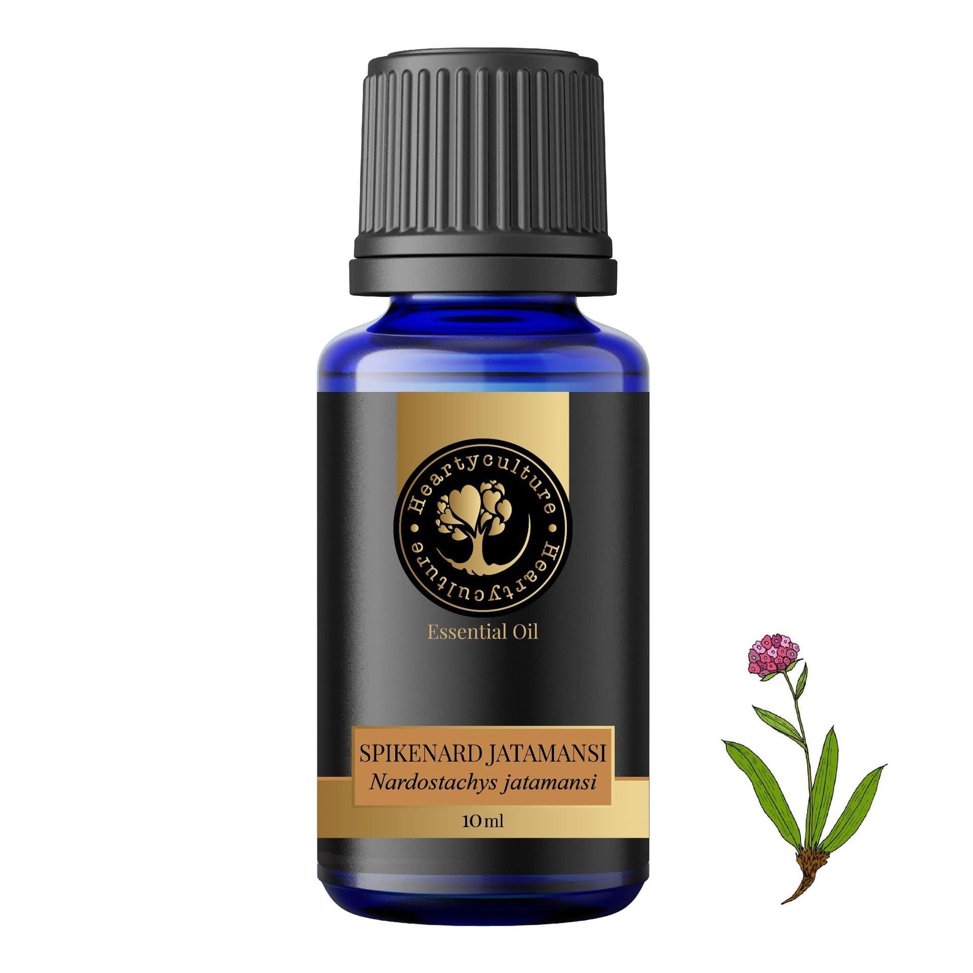 Heartyculture SpiKenard Jatamansi Essential Oil - 10 ml - hfnl!fe