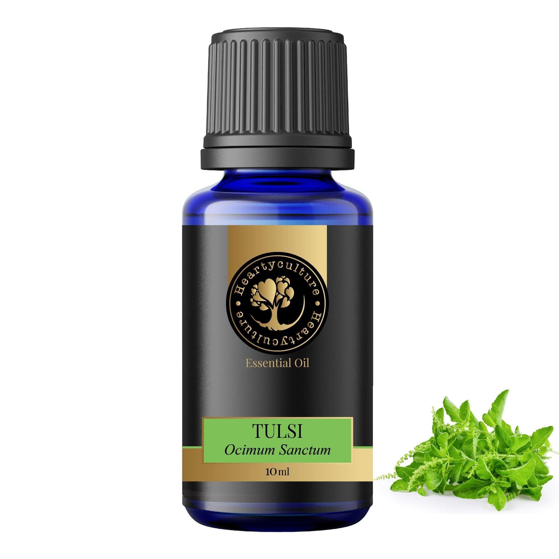 Heartyculture Tulsi Essential Oil - 10 ml - hfnl!fe