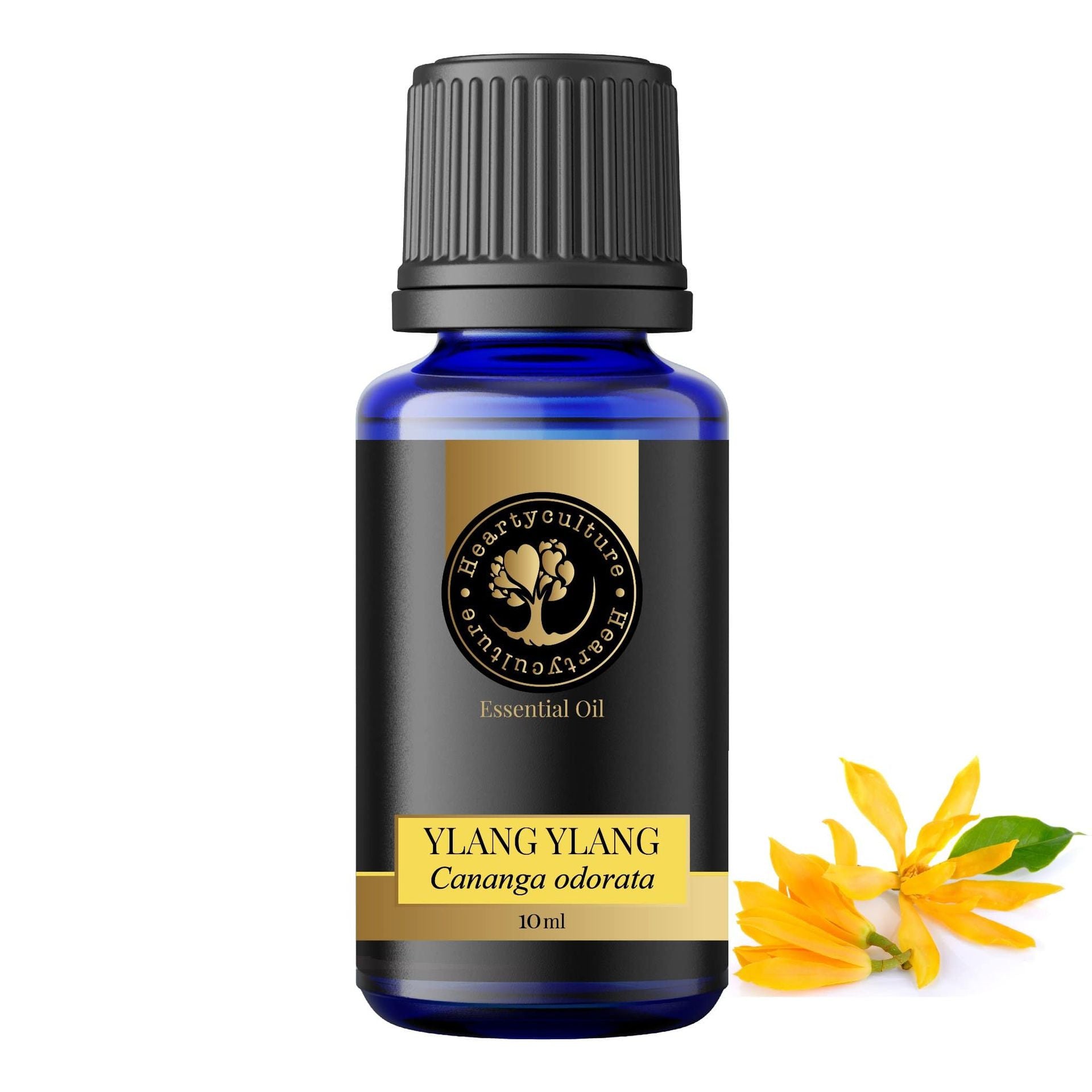 Heartyculture Ylang Ylang Essential Oil - 10 ml - hfnl!fe