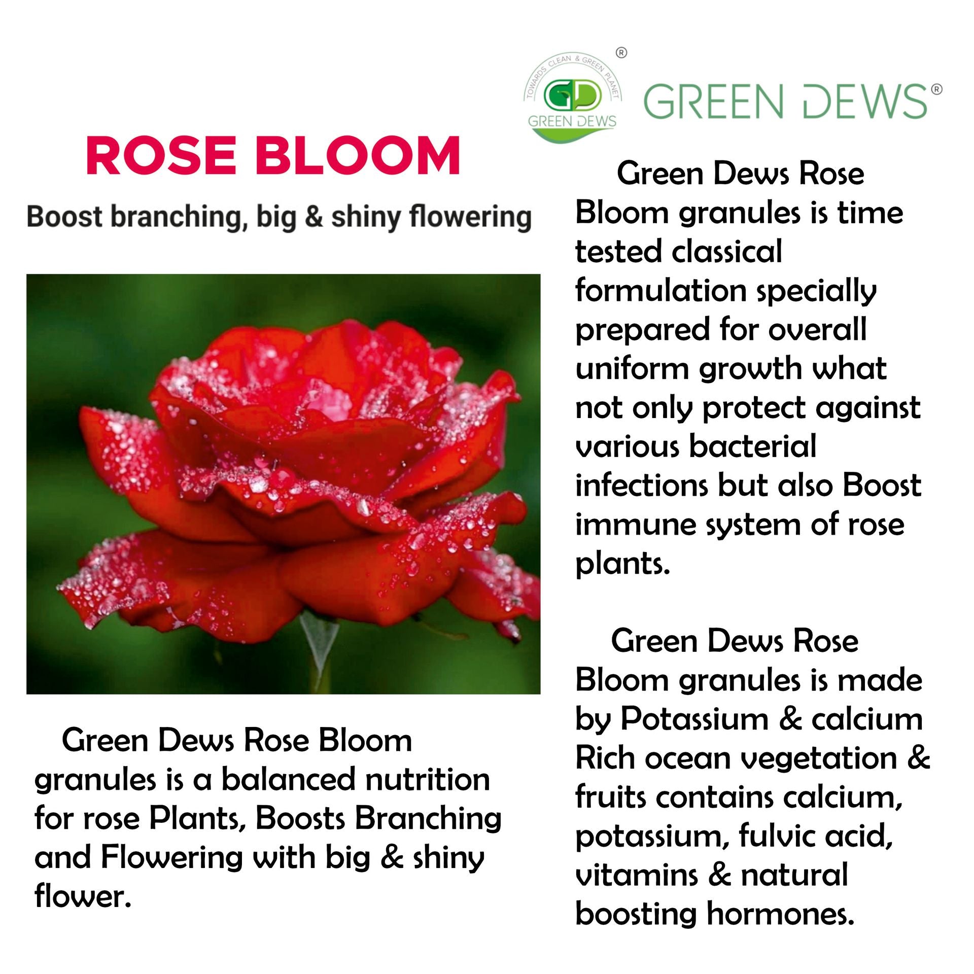 Green Dews Rose Plant Food Fertilizer For Flowering And Growth Organic Rose Bloom Granules Rose Flower Booster - hfnl!fe