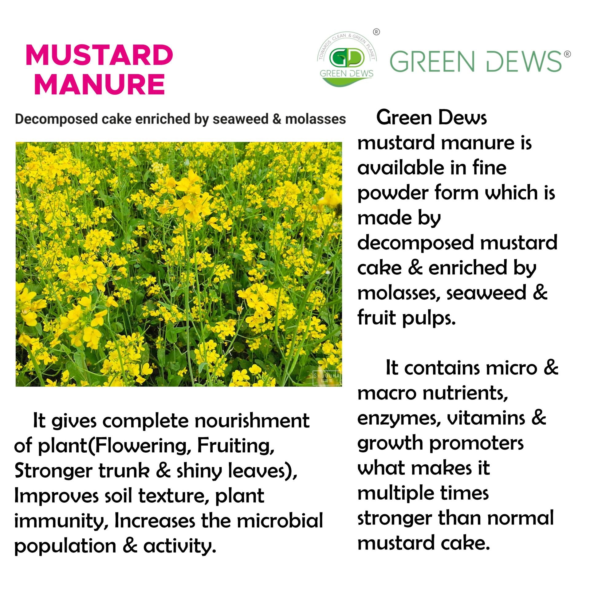 Green Dews Mustard Oil Cake Powder Fertilizer For Plants Decomposed Mustard Manure Enriched By Seaweed Molasses - hfnl!fe