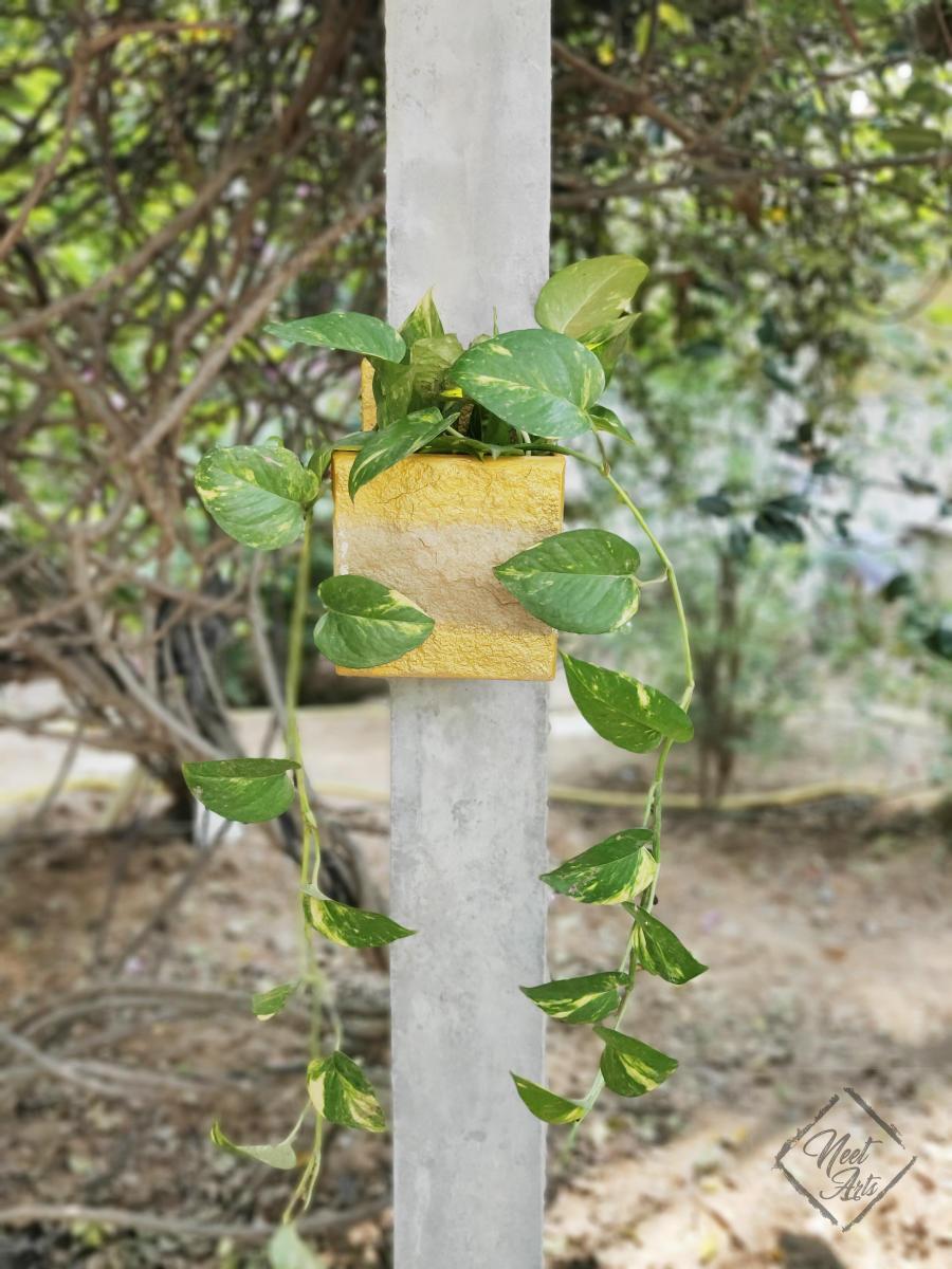 Neet Arts Natural Slate Stone Vertical Planter - Blooming Yellow - hfnl!fe