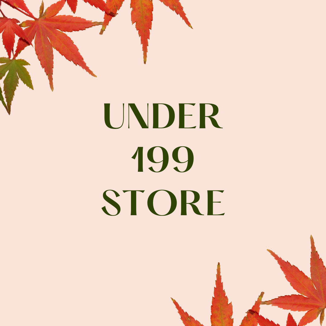 Under 199 Store