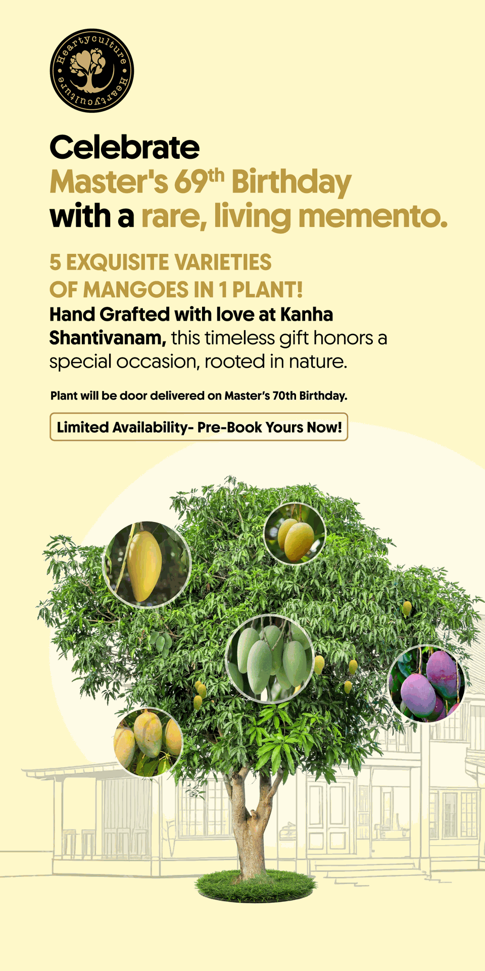 5 Exquisite varieties of mango in 1 plant