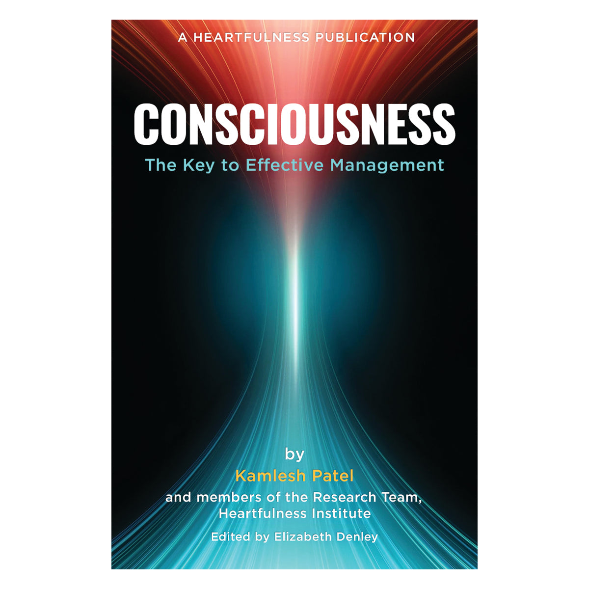 Conscious Management - Ebook