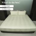 Meadow Mist, 300TC, Stripes Bedsheet Set