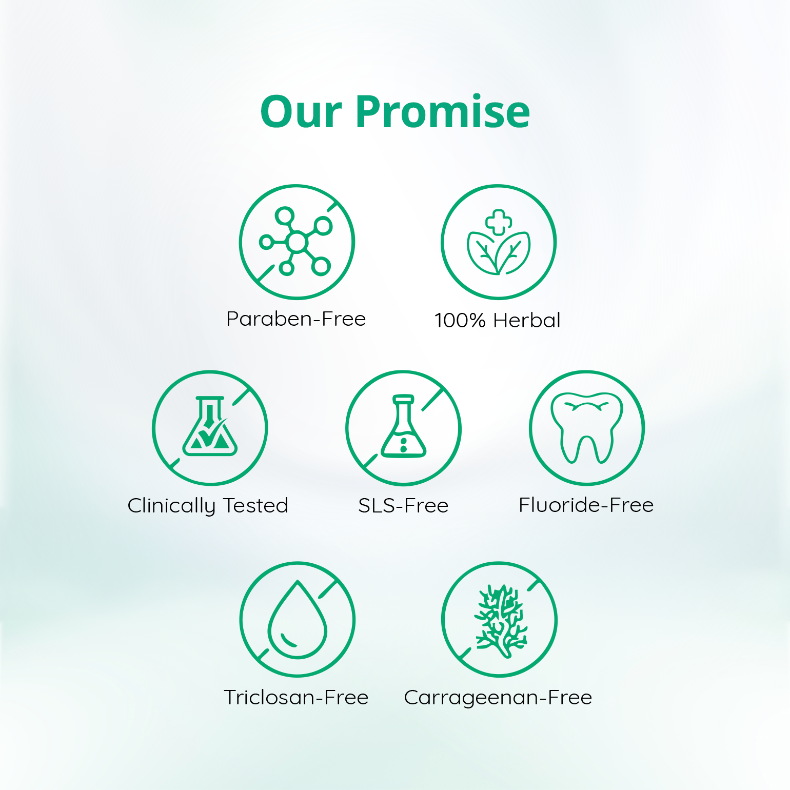 Mintdrops Natural Mouthwash
