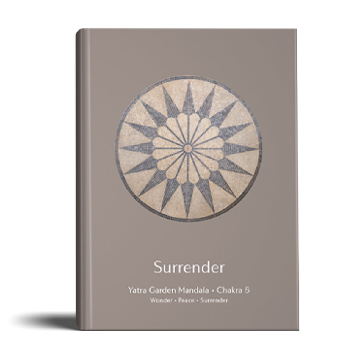 A6 Abhyasi Note Book