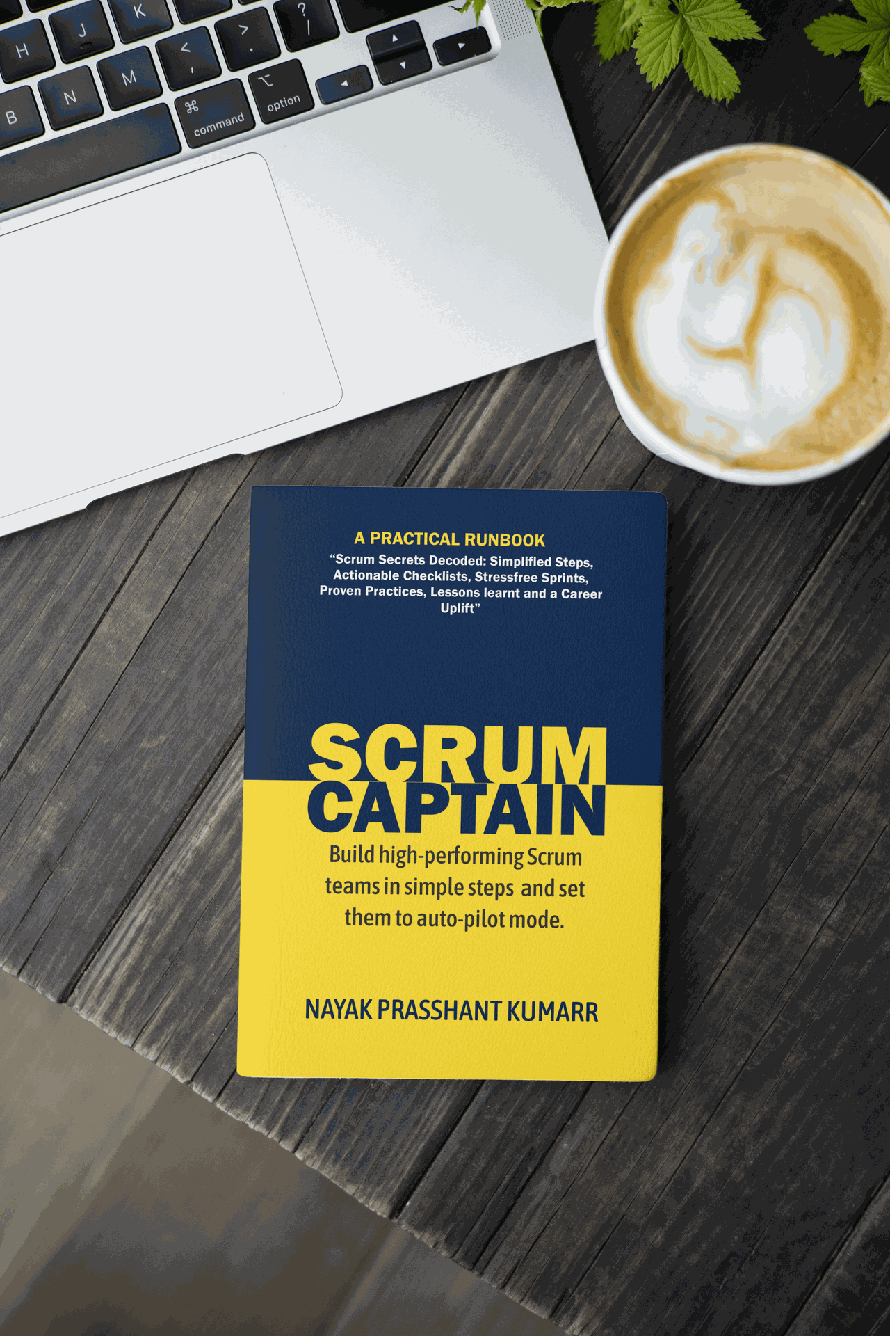 Golden Mountain Scrum Captain Books