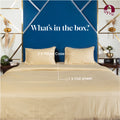 Apricot Brandy, 300TC, Horizontal Stripes Bedsheet Set