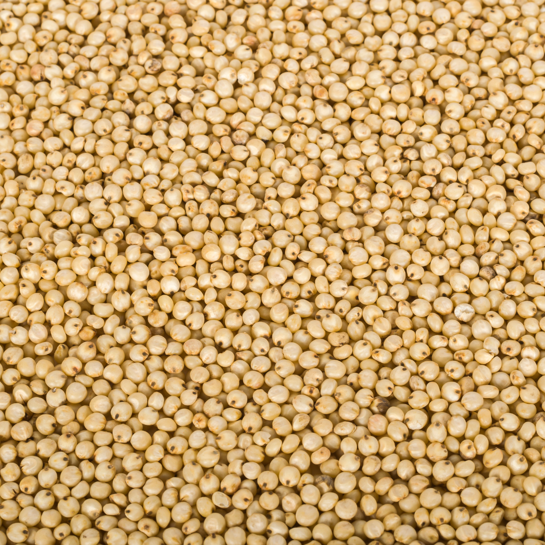 Yathiraja Jowar Millet [Jonnalu] 1 Kg