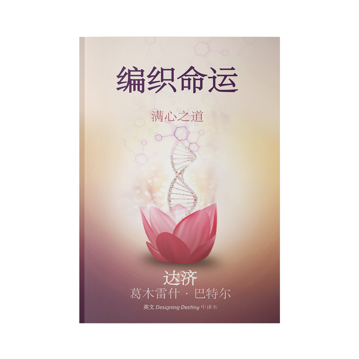 Designing Destiny Chinese eBook