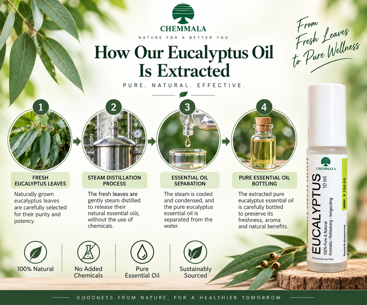Chemmala Eucalyptus Essential Oil Roll-On 10 ml