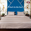 Sphinx, 300TC, Horizontal Stripes Bedsheet Set