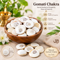 SwarajKart Spiritual Gomati Chakra ( 21 Piece )