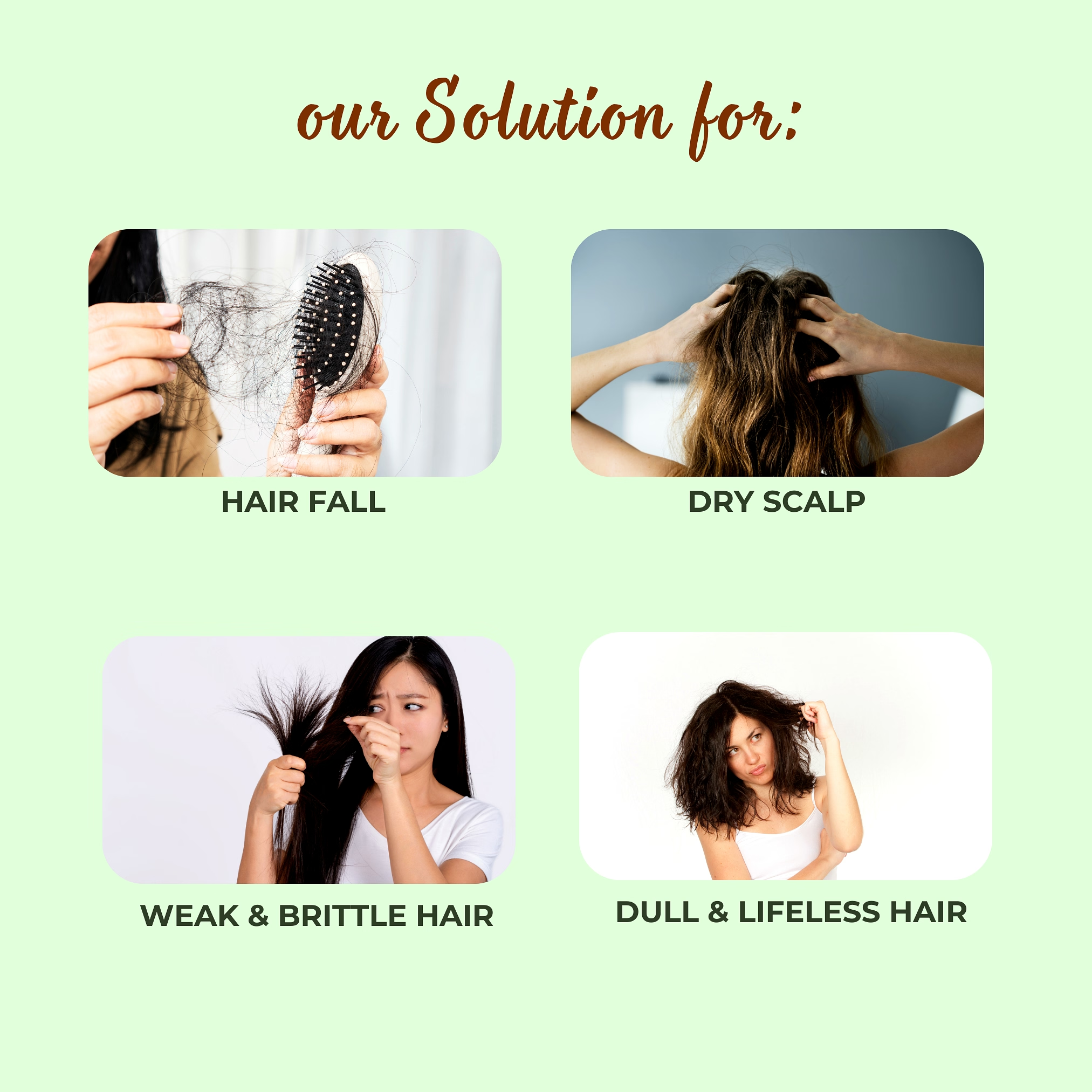 MrilQ In Harmony | Conditioning Shampoo | Hairfall Rescue | Hair Nourishment | Sulphate, Paraben & SLS Free