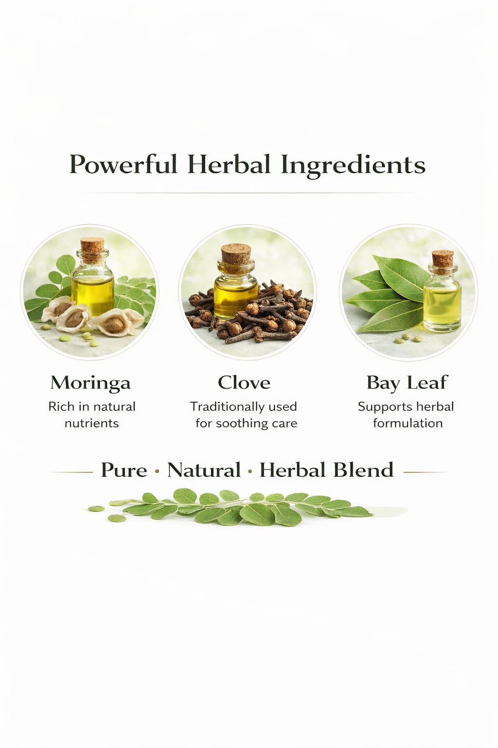 Chemmala Moringa & Clove Ear Oil | Natural Herbal Ear Care Oil for Comfort & Hygiene | 10 ml