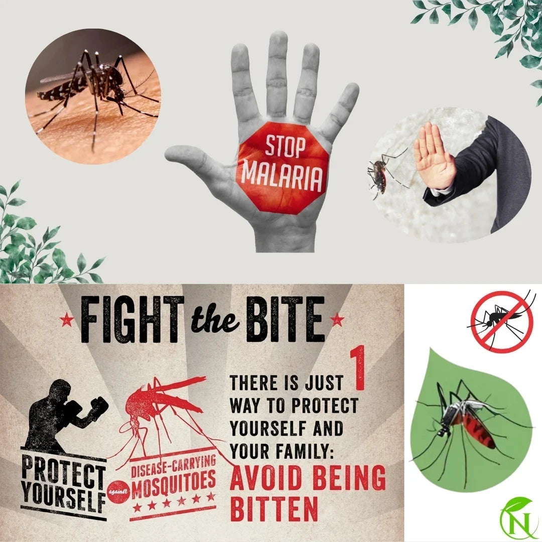 Naturalief Herbal Mosquito Repellent Diffuser Oil – DEET-Free, Aromatic Protection for Indoor Spaces