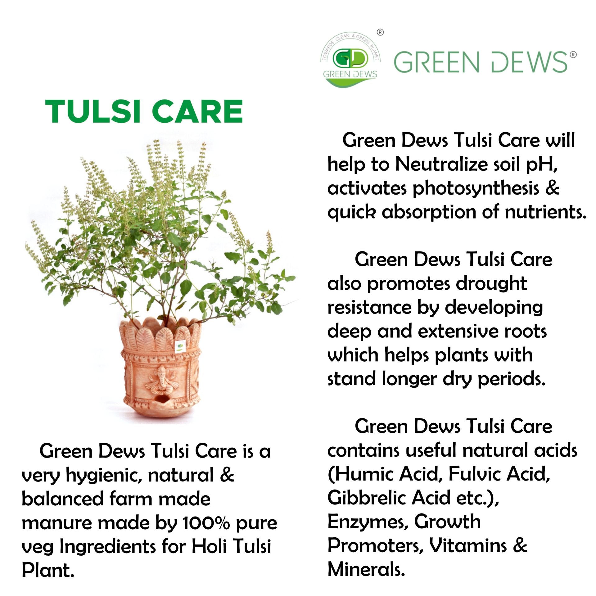 Green Dews Tulsi Plant Food Fertilizer Khad Organic Tulsi Care 100% Pure Veg Ingredients For Potted Tulasi Plant Holi Basil Plant - hfnl!fe