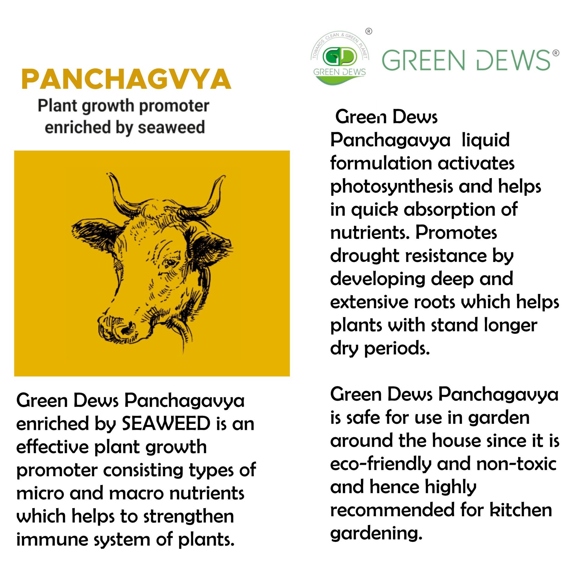 Green Dews Panchagavya Organic Fertilizer Plant Growth Promoter Enriched with Seaweed for home garden - hfnl!fe