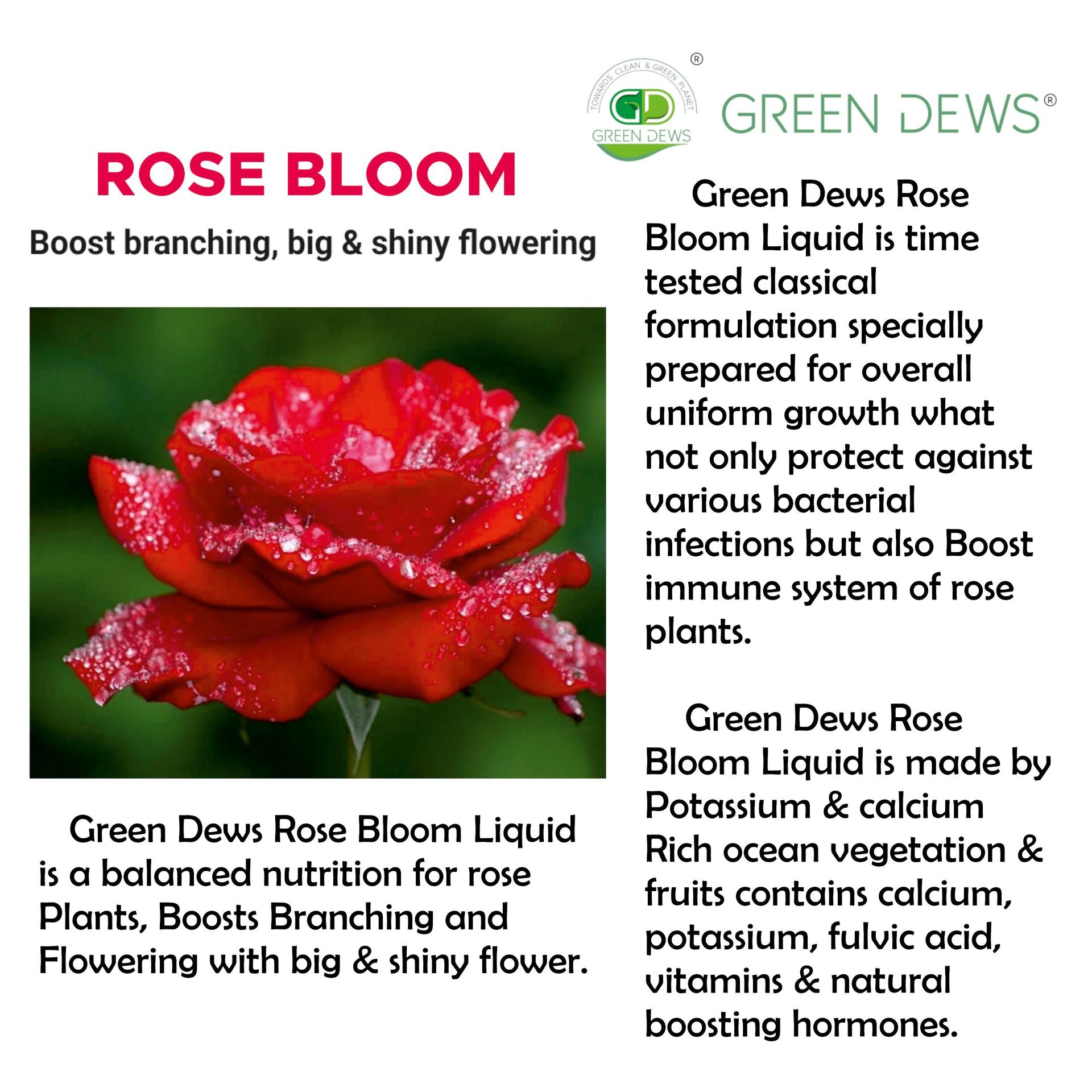 organic liquid rose fertilizer Green Dews Rose Bloom Rose Fertilizer Rose Food for Big and Shiny Flow
