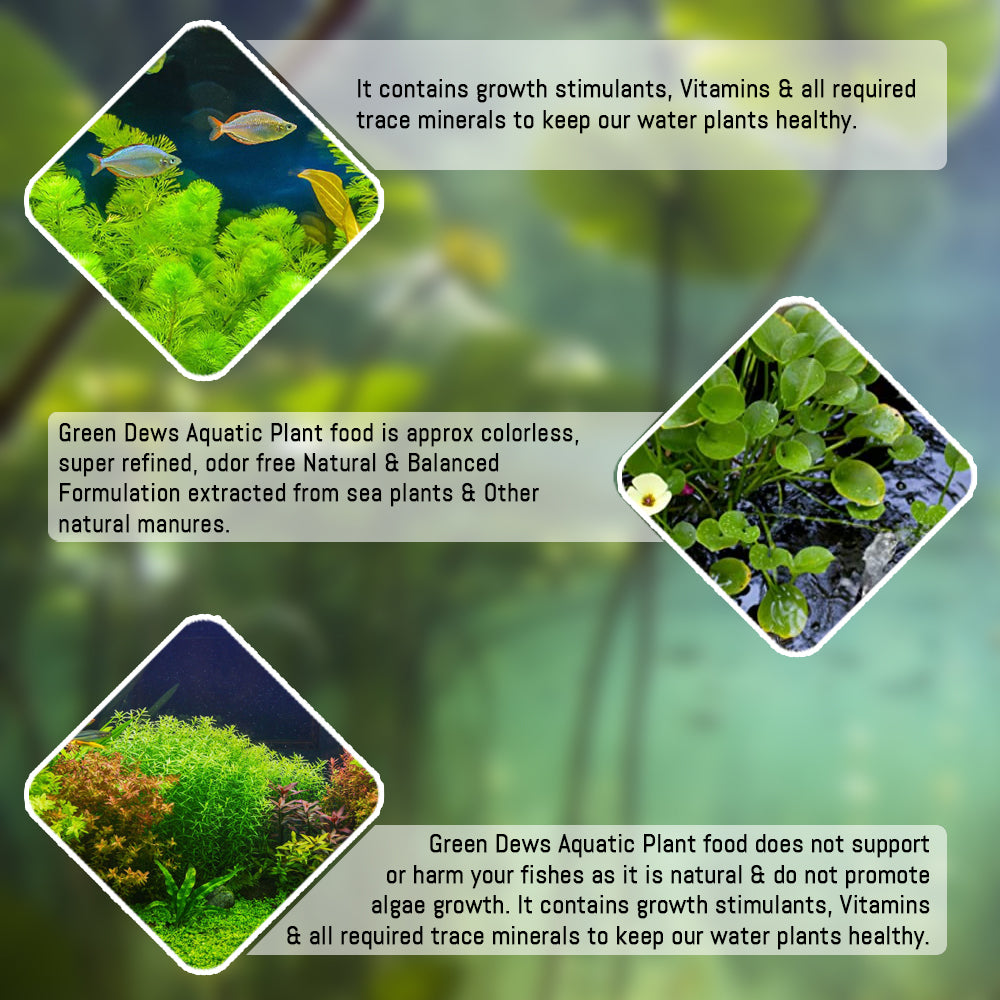 natural fertilizer for plant growth Green Dews Enzyme Natural Fertilizer Plant Growth Promoter Soil Condit