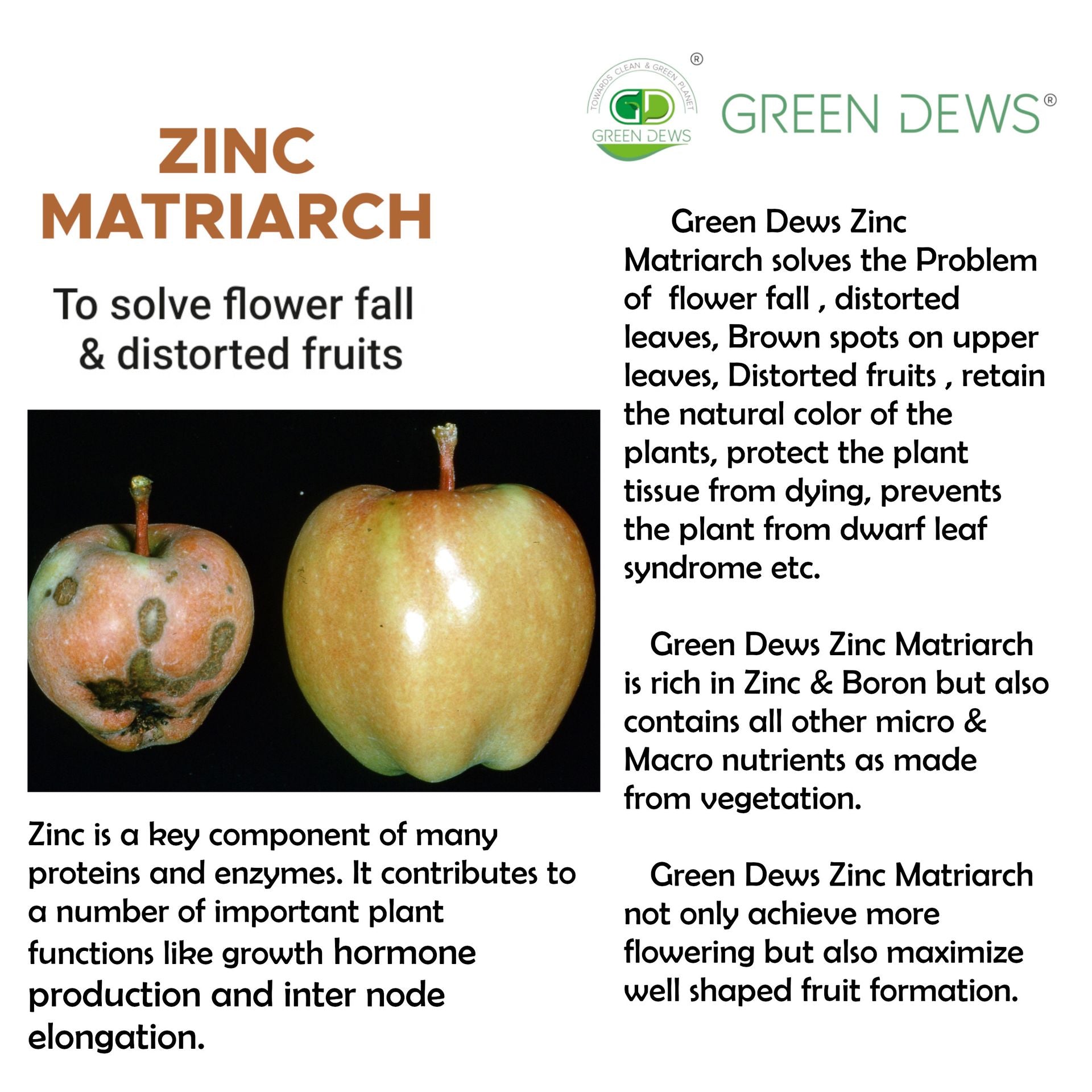 Green Dews Zinc Matriarch Organic Zinc Fertilizer for Plants to Solve Flower Fall for Indoor outdoor Plants Fertilizers for Home Gardening - hfnl!fe