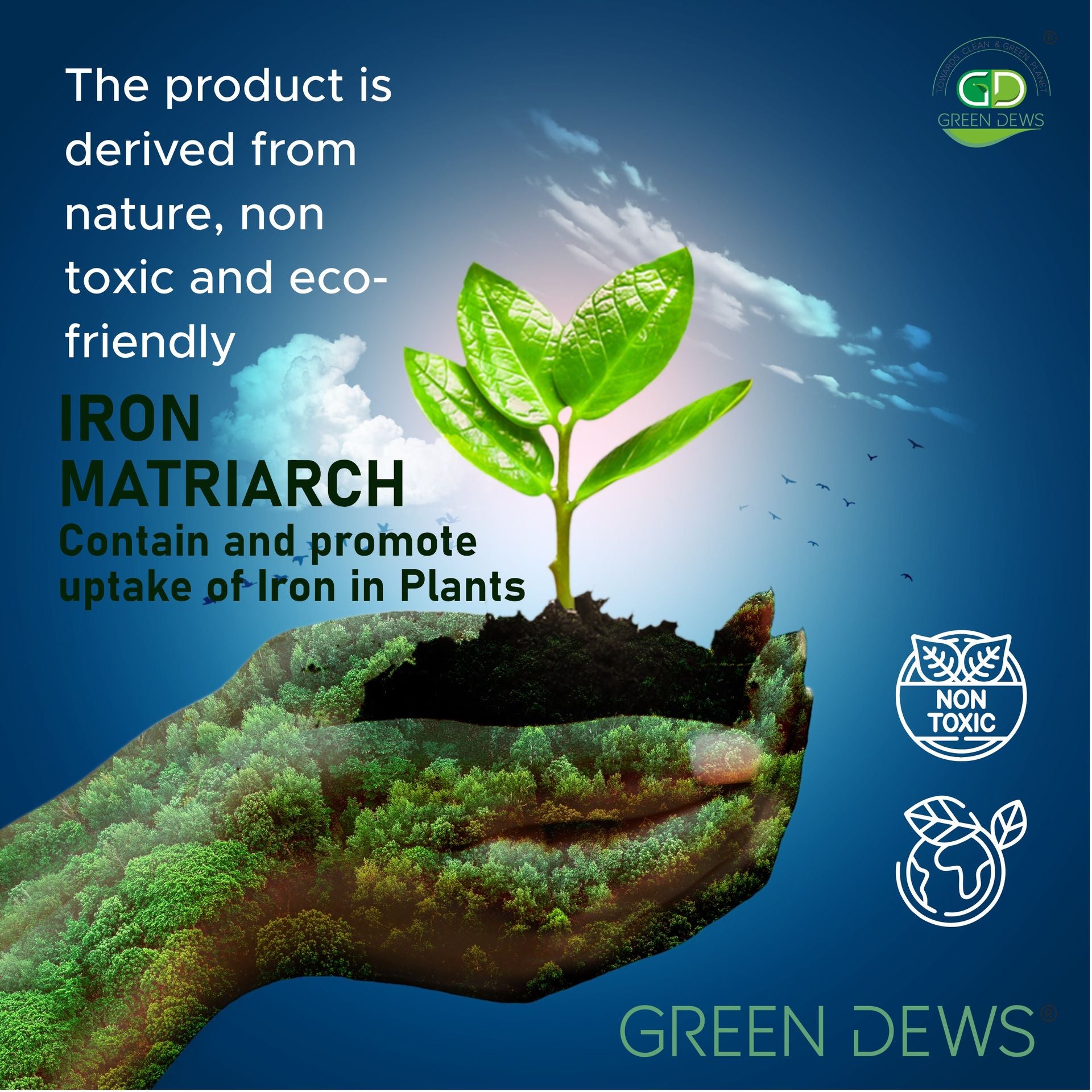 Green Dews IRON FERTILIZER FOR PLANTS ORGANIC LIQUID WATER SOLUBLE IRON MATRIARCH FOLIAR SPRAY substitute of - Iron -Fe EDTA Chelated Iron Dust Powder - hfnl!fe