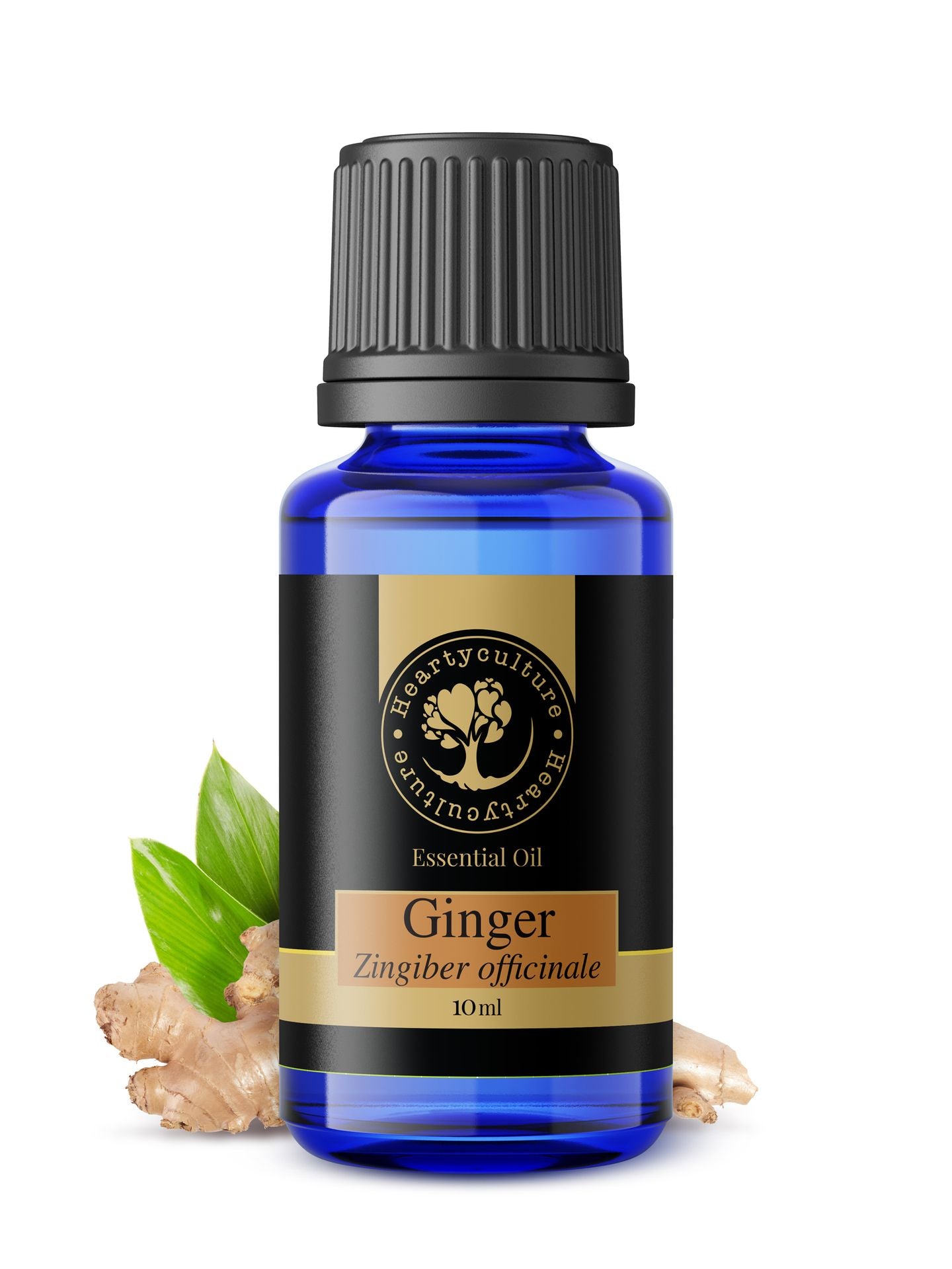 Heartyculture Ginger Essential Oil - 10 ml - hfnl!fe