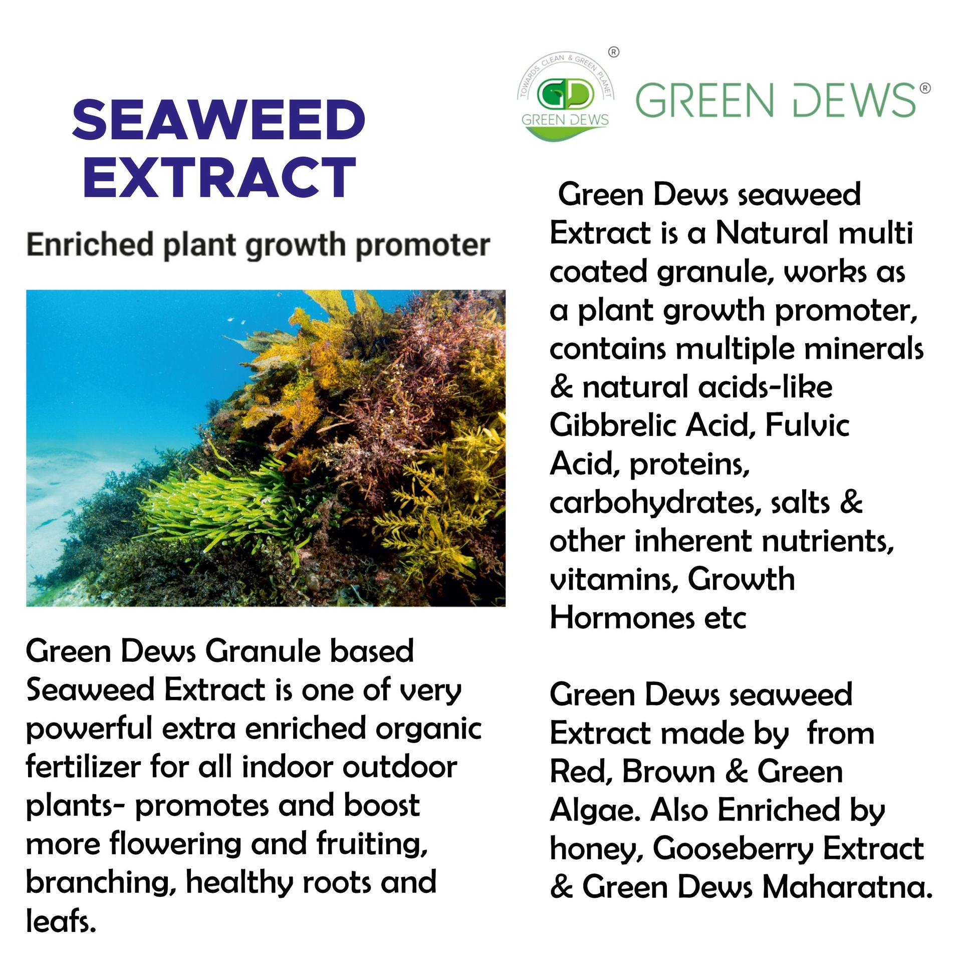 Green Dews Seaweed Extract Fertilizer For Plants And Garden Powder Form Extra Enriched Comparing to Seaweed Granules - hfnl!fe
