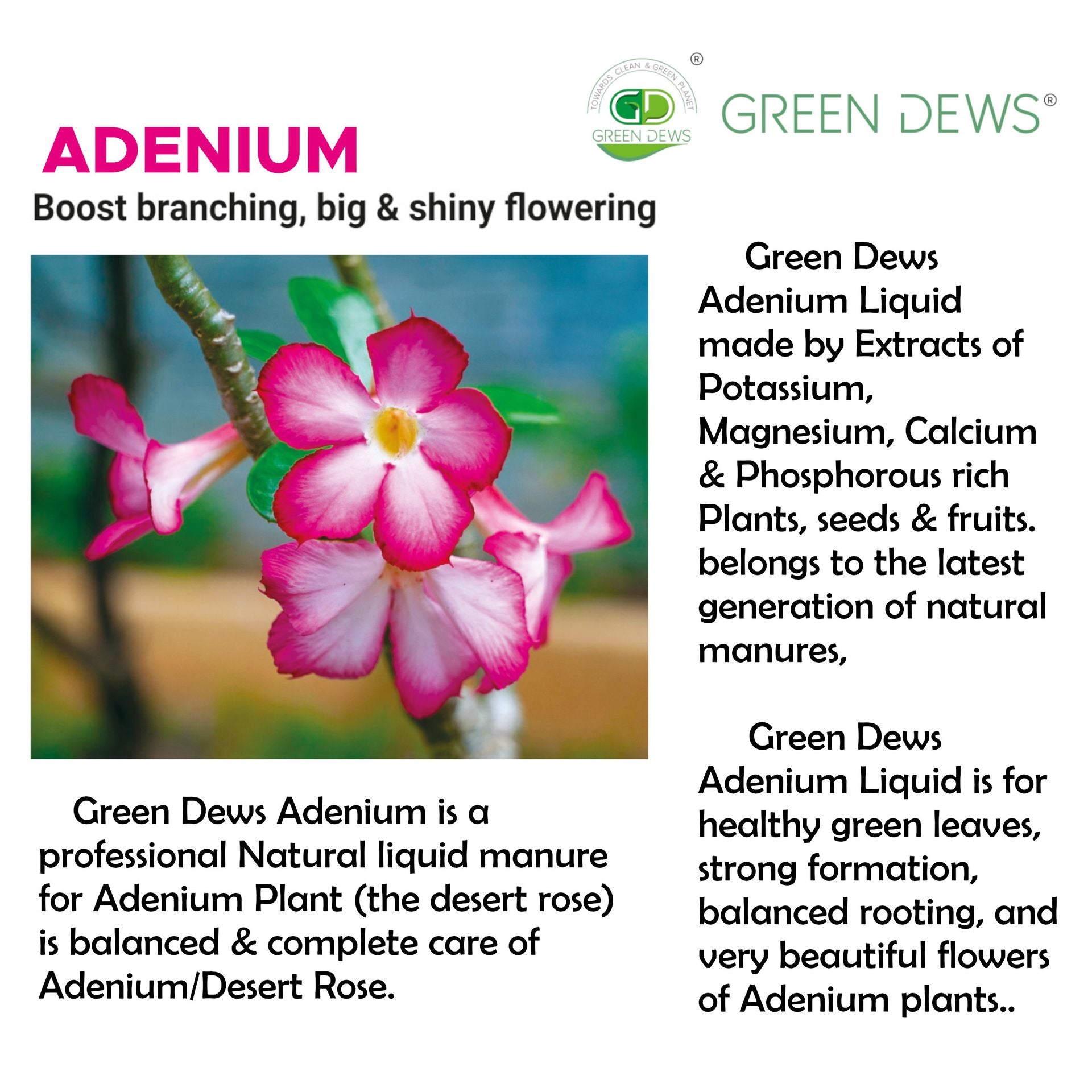fertilizer for adenium plant Green Dews Adenium Fertilizer Adenium Food Organic Liquid Balanced for