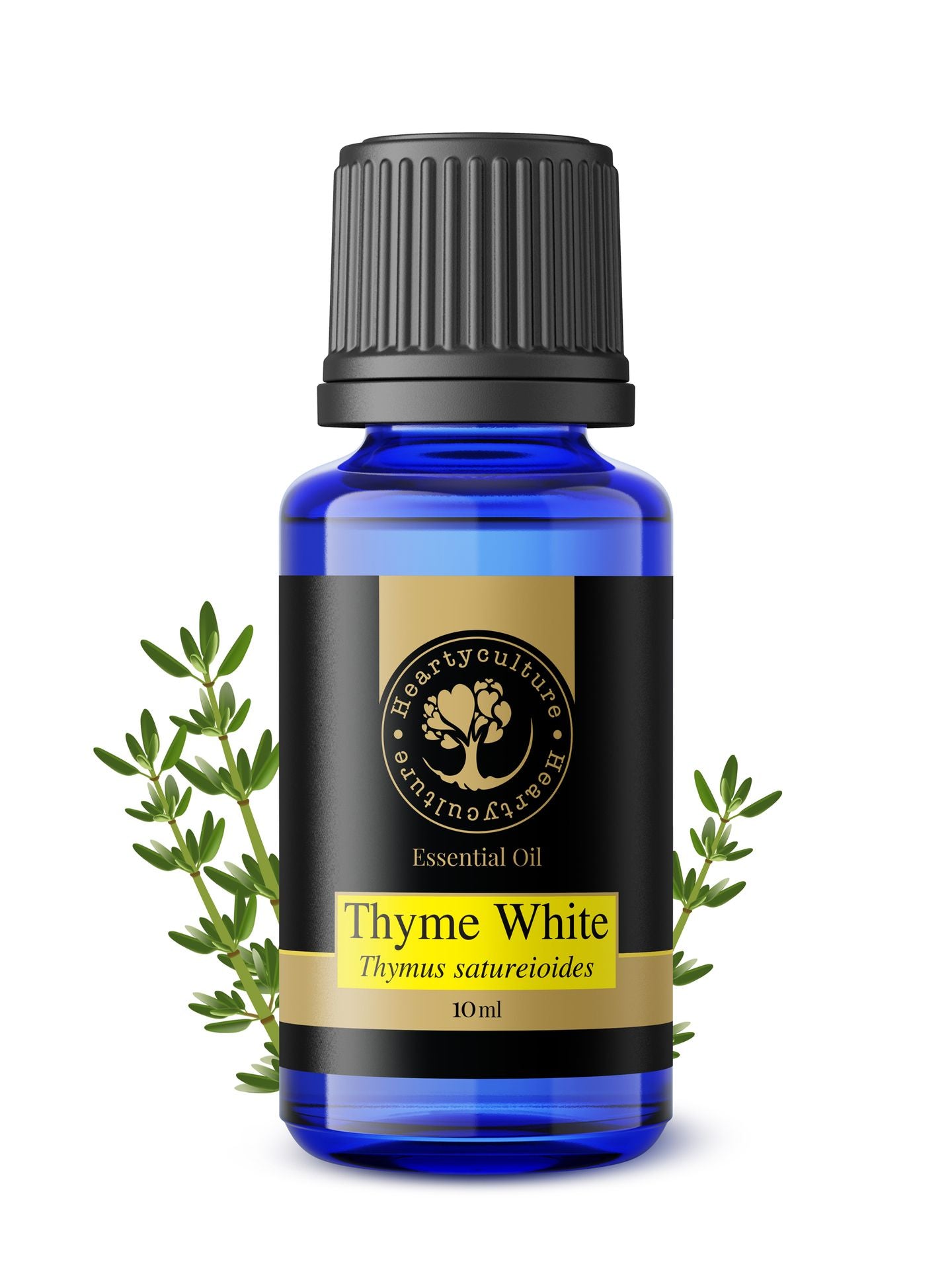 Heartyculture Thyme White Essential Oil - 10 ml - hfnl!fe