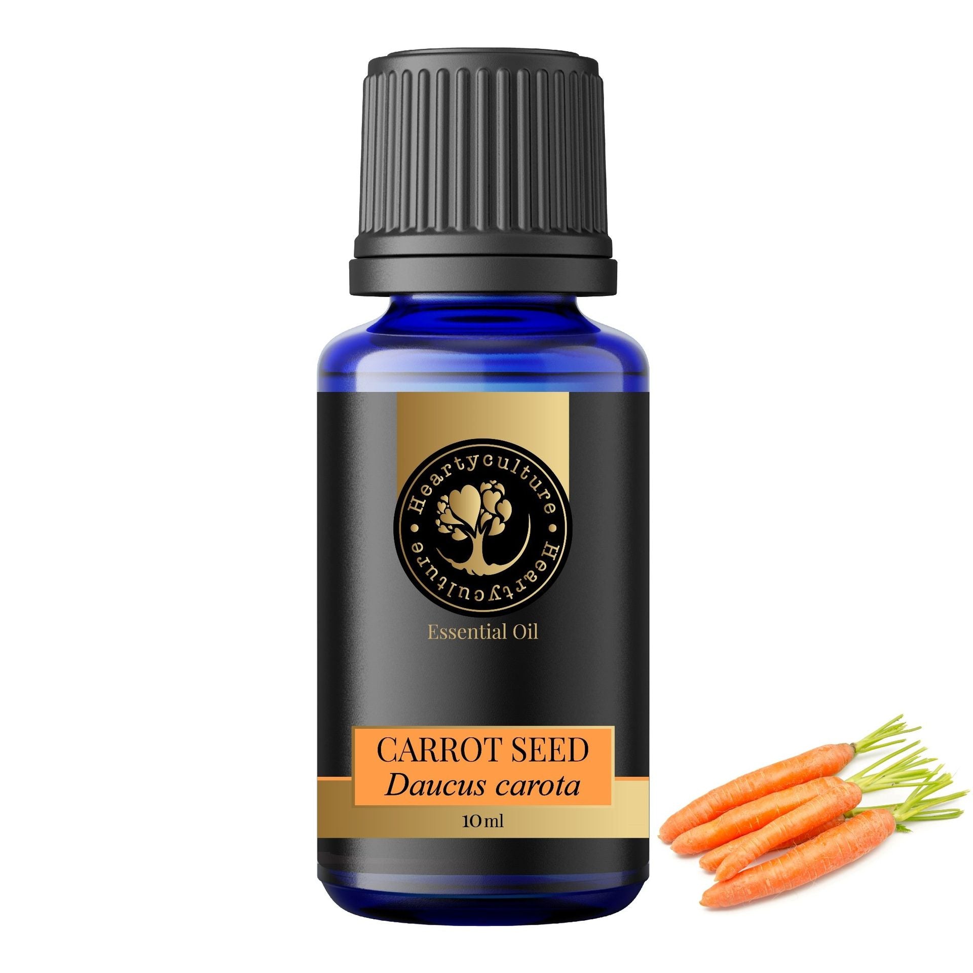 Heartyculture Carrot Seed Essential Oil - 10 ml - hfnl!fe