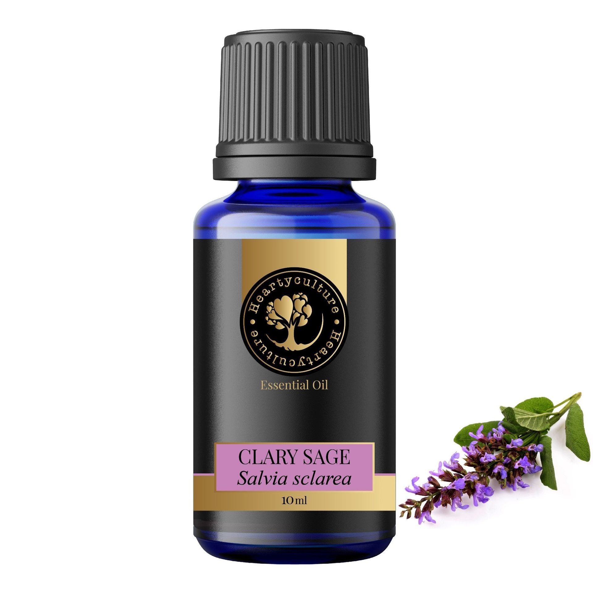 Heartyculture Clary Sage Essential Oil - 10 ml - hfnl!fe