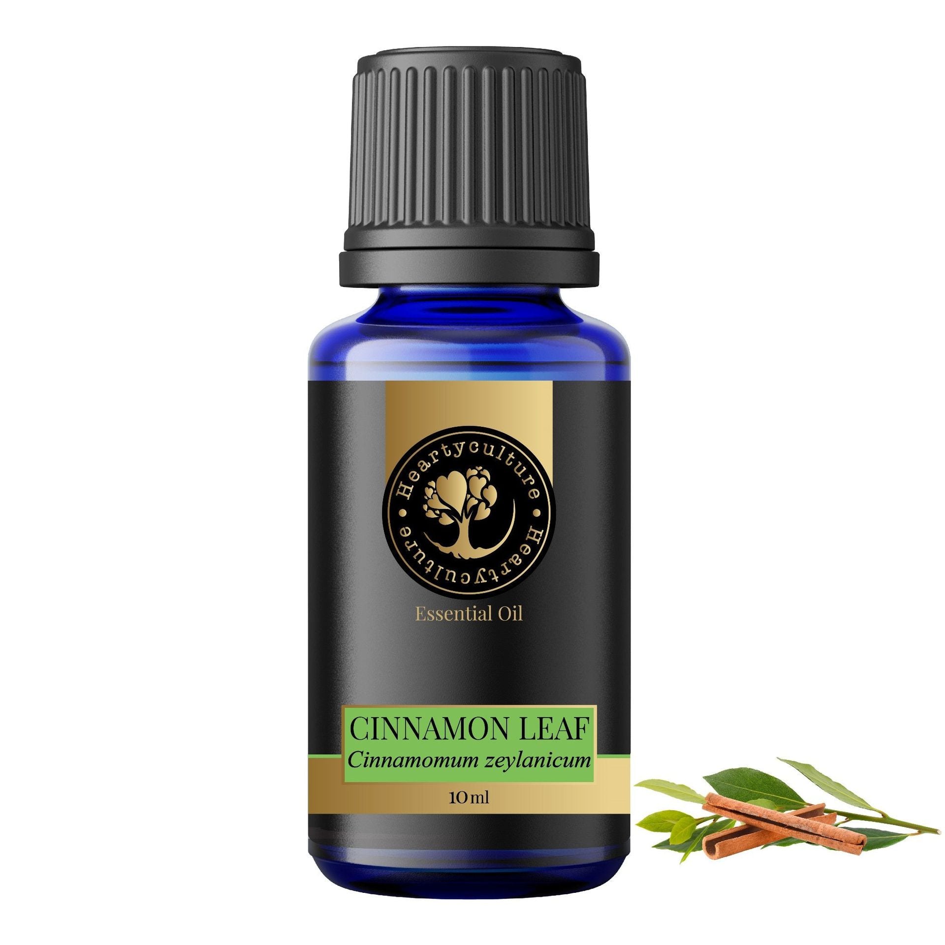 Heartyculture Cinnamon Leaf Essential Oil - 10 ml - hfnl!fe